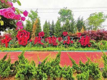 玫瑰风情小镇获评首批省精品文旅小镇_平阴县