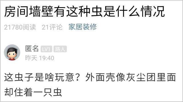 网友:这是啥玩意?_衣蛾