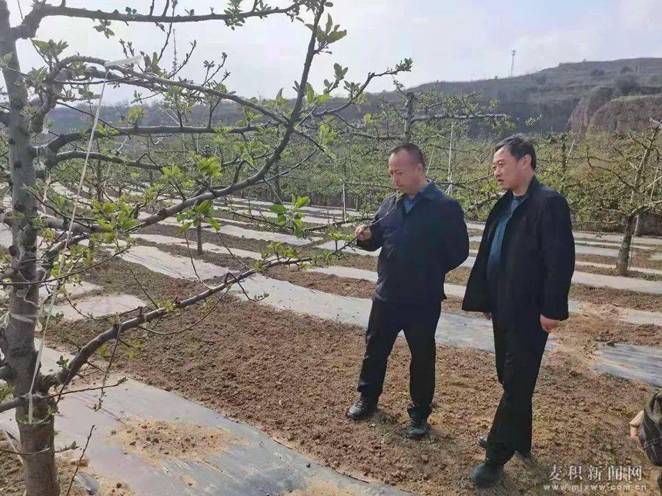 霍定明督查调研果品产业改良培优提质增效工作