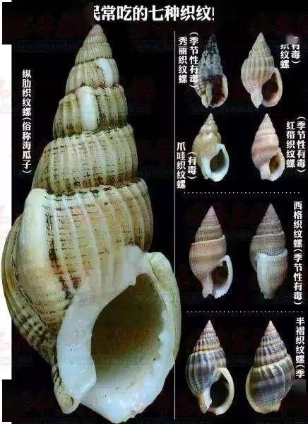 千万别碰这东西,严重可致命!眼下正是旺季