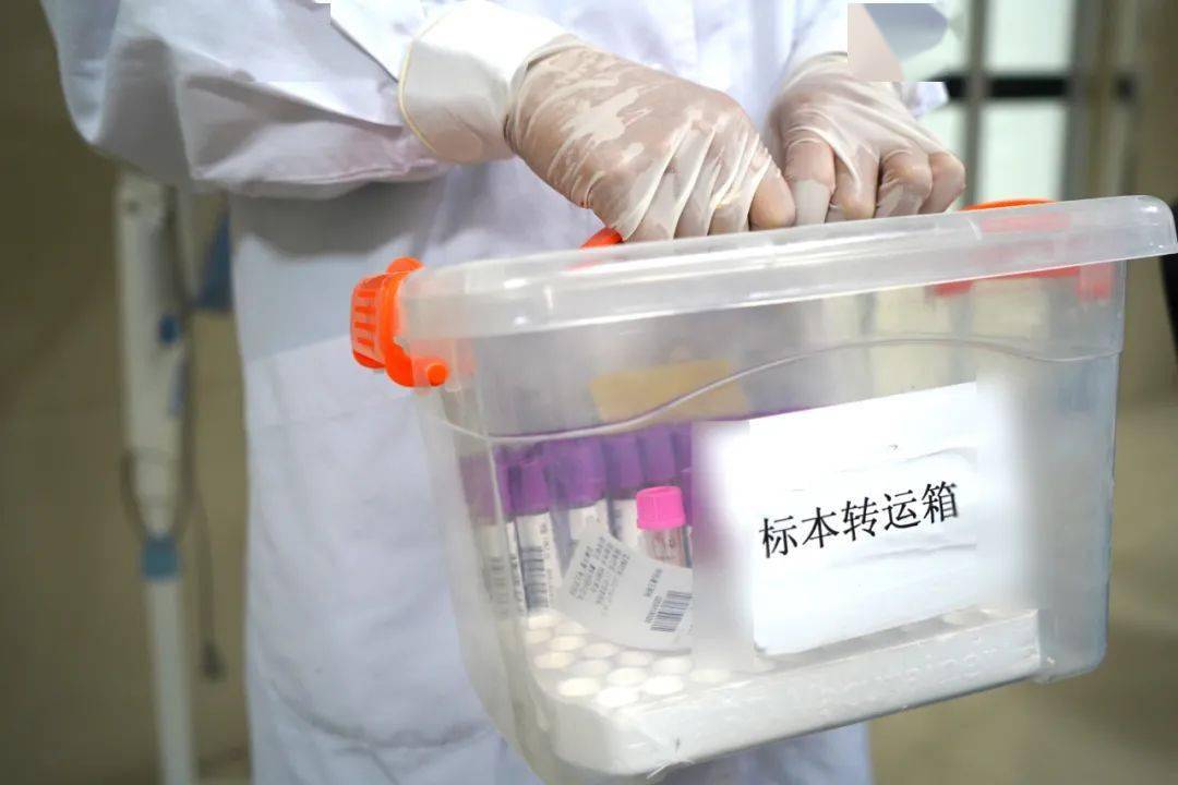 采集后的血液标本,由工作人员统一收取,运送至不同的岗位进行检测