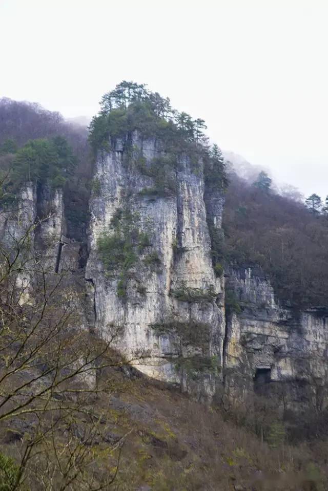 马山县人口_马山县的文化(3)