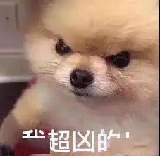 fead80826af742b29afabce7a0d27ef8.jpeg