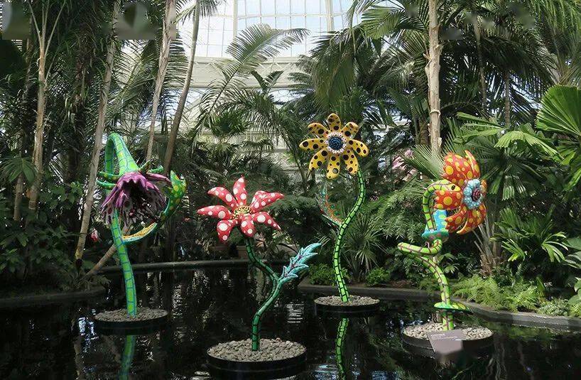 宇宙自然 草间弥生大型展览开幕 The