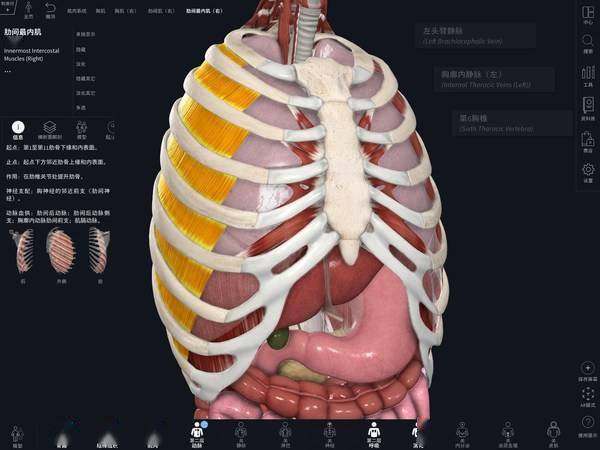爱思唯尔旗下3D4Medical发布中文版Complete Anatomy_解剖
