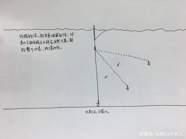 钓甲鱼用直针钓是什么原理_甲鱼鞭是什么样子的(2)