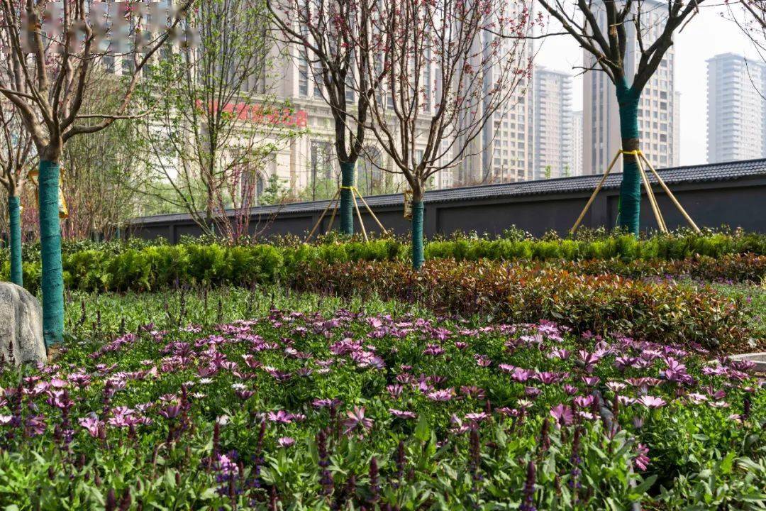 两侧的城市绿带,南起自强东路,北至北二环,紧邻着大明宫国家遗址公园