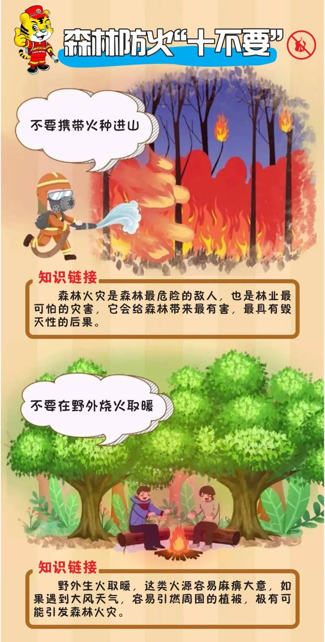 关注森林防火这十条要记牢