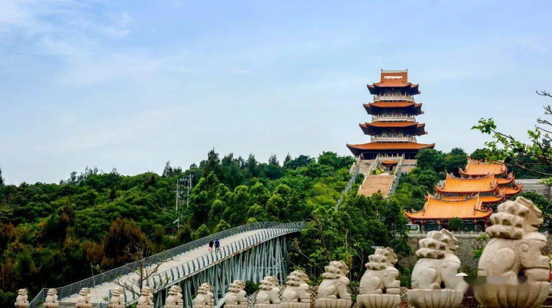 莆田北岸推进基层公共文化建设:催生城市新活力_健身