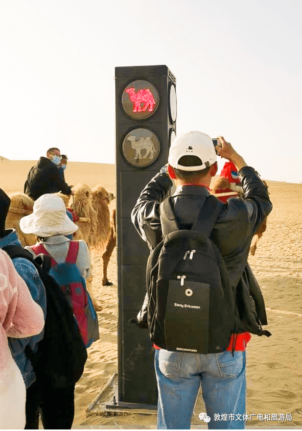 甘肃一地为骆驼设置红绿灯，网友：别人堵车，我们堵骆驼！