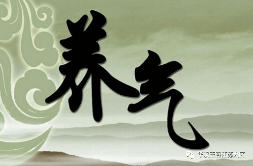 养气·养出精气神_气虚