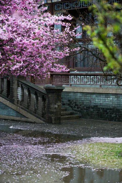 杏花烟雨醉江南