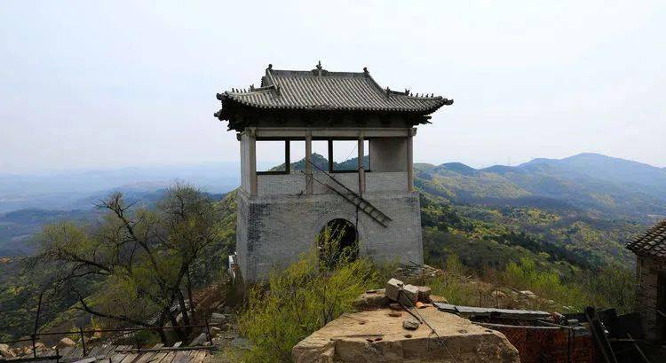 晋城晋普山连翘花盛开太壮观了