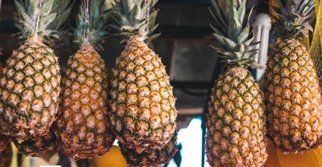 吃菠萝嘴破是怎么回事