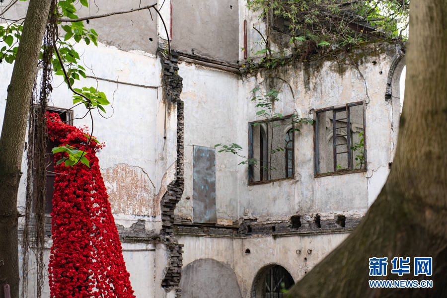 浪漫不死!重庆:"荒野花园"开出美丽花瀑