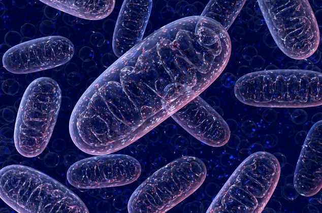 转基因丨我们身边的转基因药品和产品都有哪些?