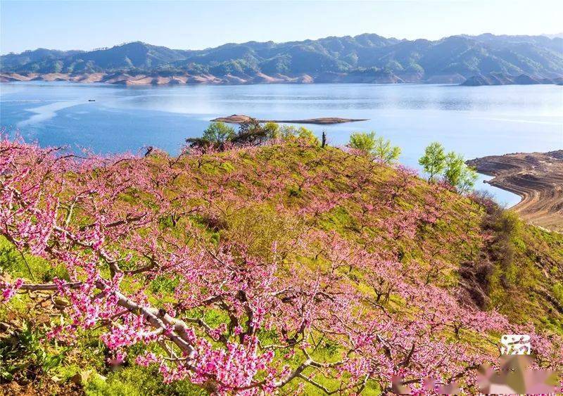 【仙境宽甸】2021宽甸鸭绿江(河口)桃花节新闻发布会暨宽甸旅游推介会