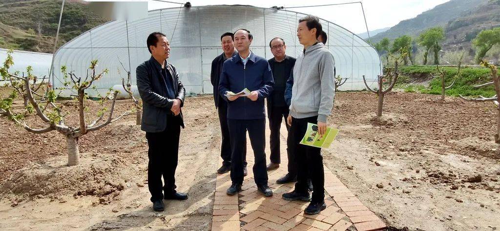 孙根林在白河镇王坝镇调研指导特色产业发展等工作_帮扶