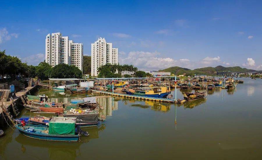 学党史新湾渔村焕新颜乡村振兴再扬帆