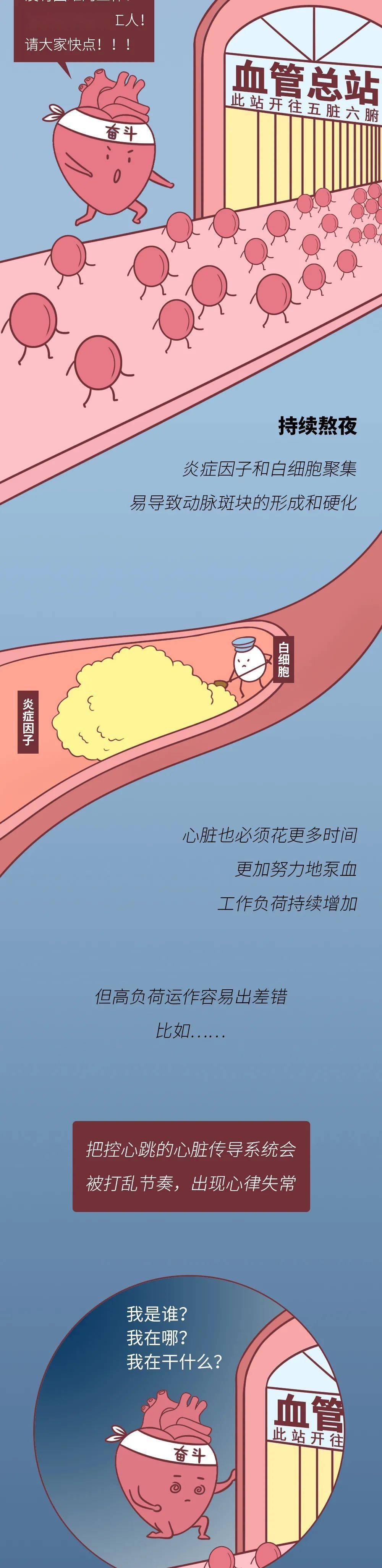 熬夜时,为什么心脏会「咯噔」一下?看完一阵后怕