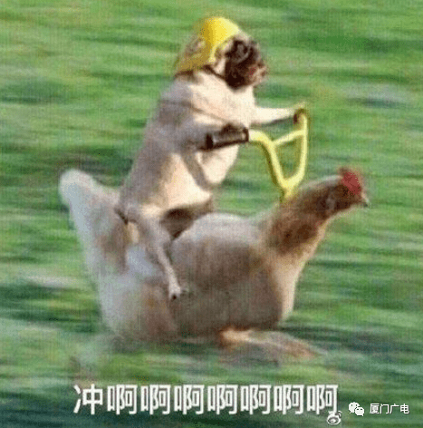 火车排行_最新排行,厦门第八!明天起开抢~