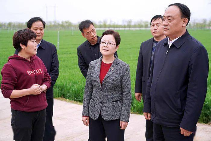 省农业农村厅二级巡视员王宏岩,咸阳市委副书记吕来升,副市长程建国