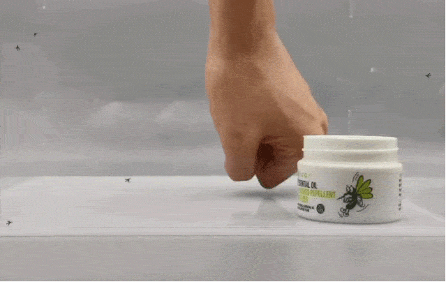 638_403gif 动态图 动图
