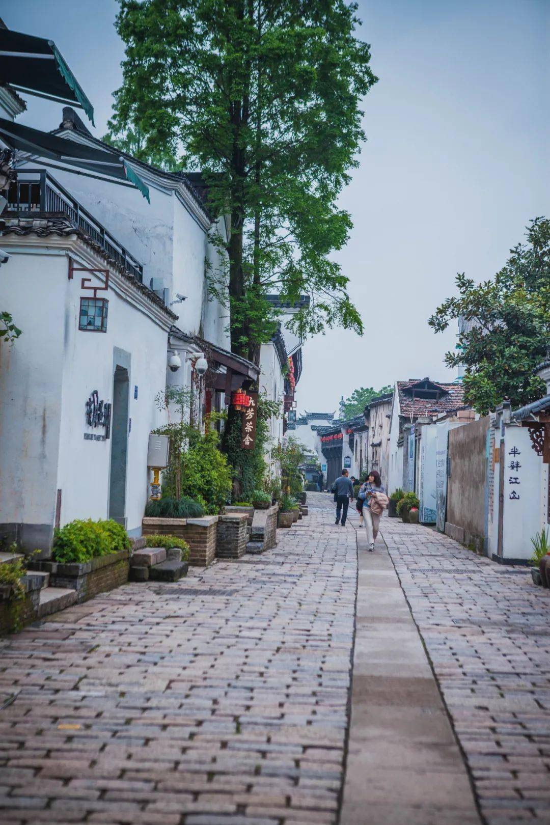 红星闪闪点亮金华市中心这个地方人人喜欢从将军路的牌坊开启酒坊巷