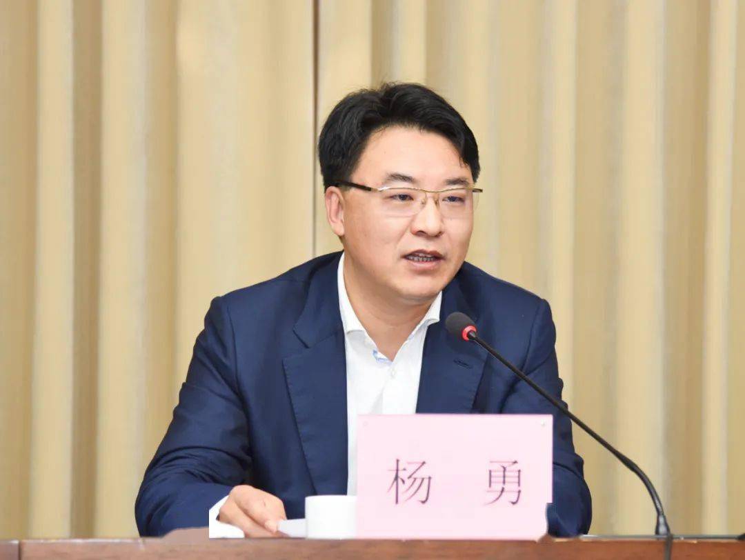 杨勇痛下决心狠下功夫高质量推进制造业全域产业治理