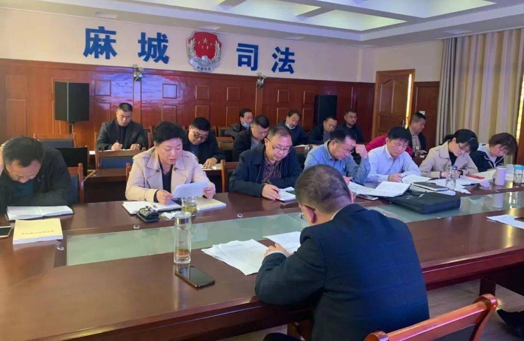 党史学习教育学党史开新局为麻城建设三城三区蓄积磅礴力量二十六