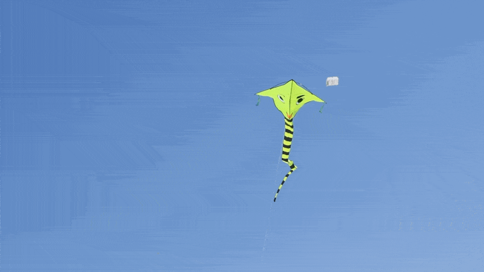 看到这种小巧的反而觉得有些可爱没有你看不到的风筝.