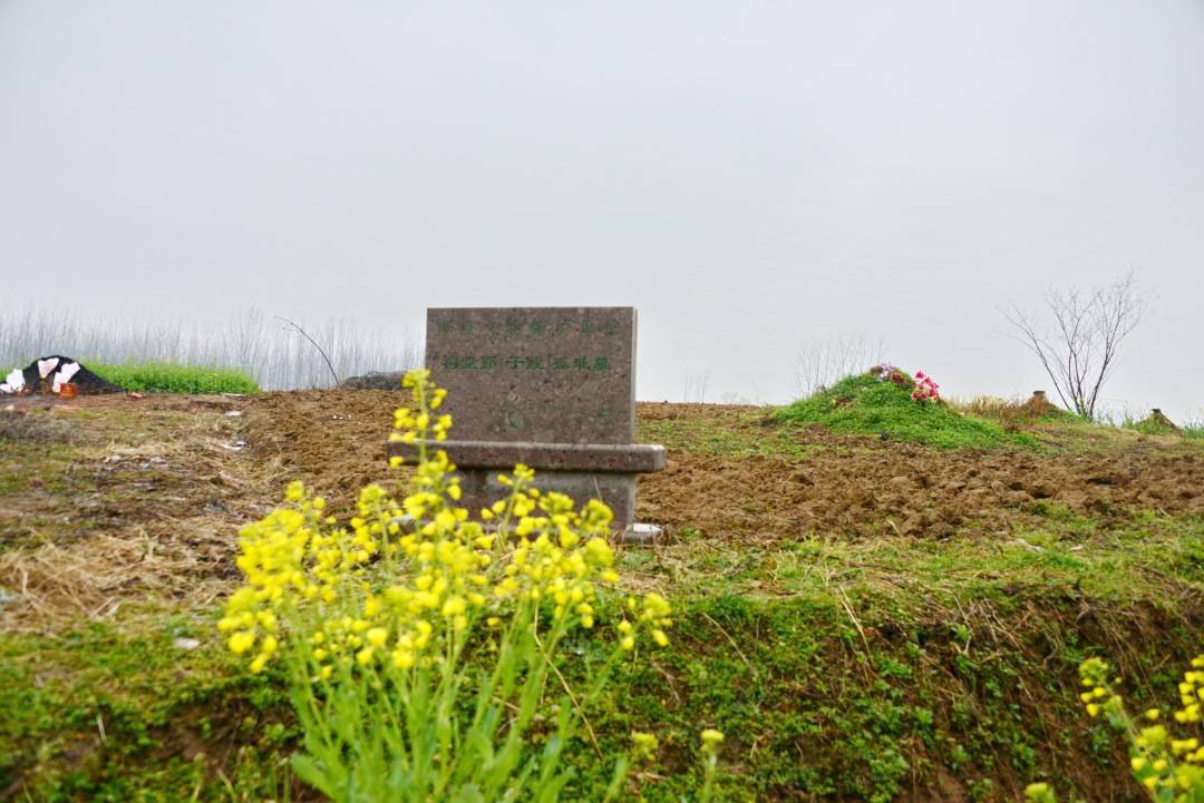 孔门宓子贱所得者三所治者小下韦力撰