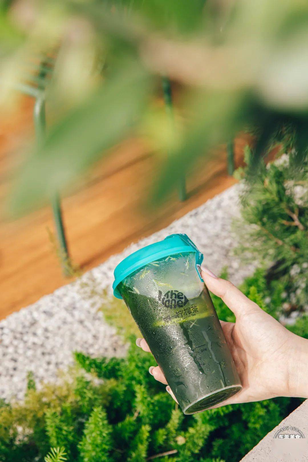 又绿又渣的绿绿绿柠茶来了夏日第①杯get