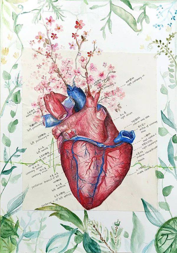 生机勃勃背景为一周期健康心电图心脏之上长出紫叶李花束作品:《心语
