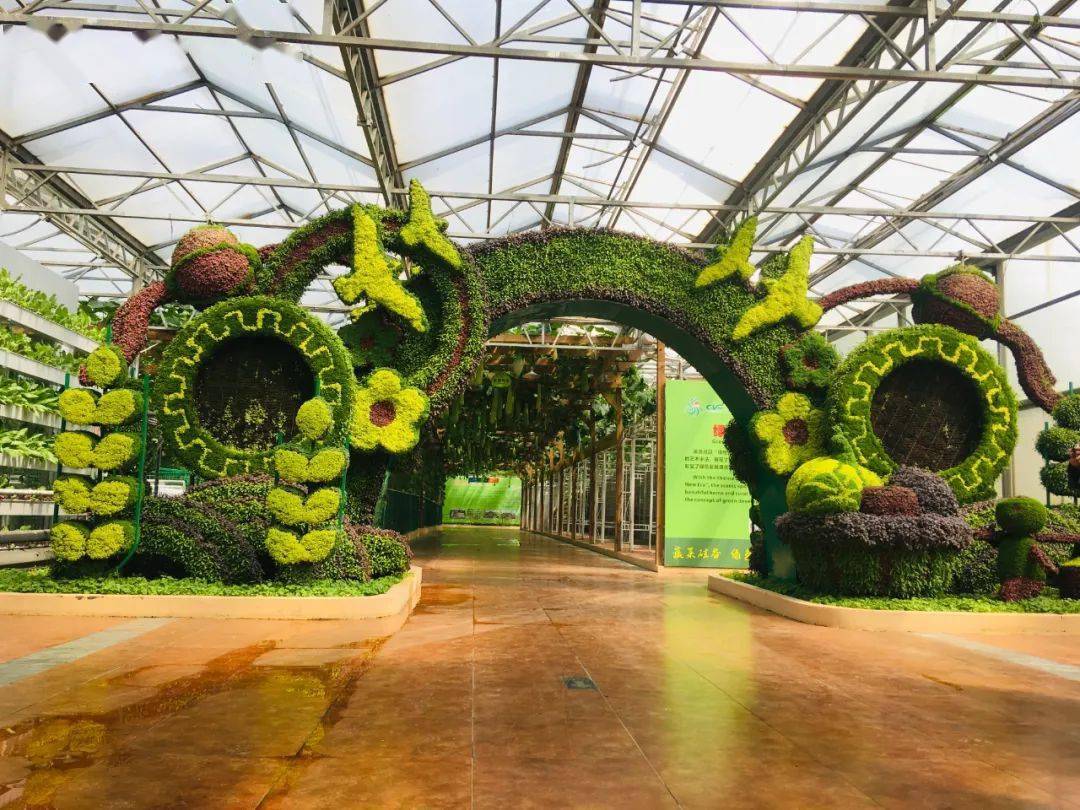 各种尺度为大家拍摄了现场的大尺度美图小编第一时间摸进菜博会探访是