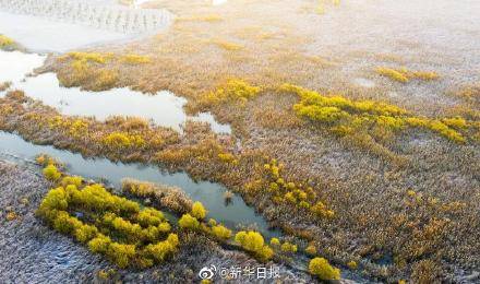 期待！苏州有望迎来首个国际重要湿地