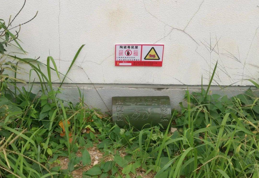 请爱护毒鼠屋!图文:爱卫中心;编辑:谢锋;审核:谢慧惠;签发:王朝阳.