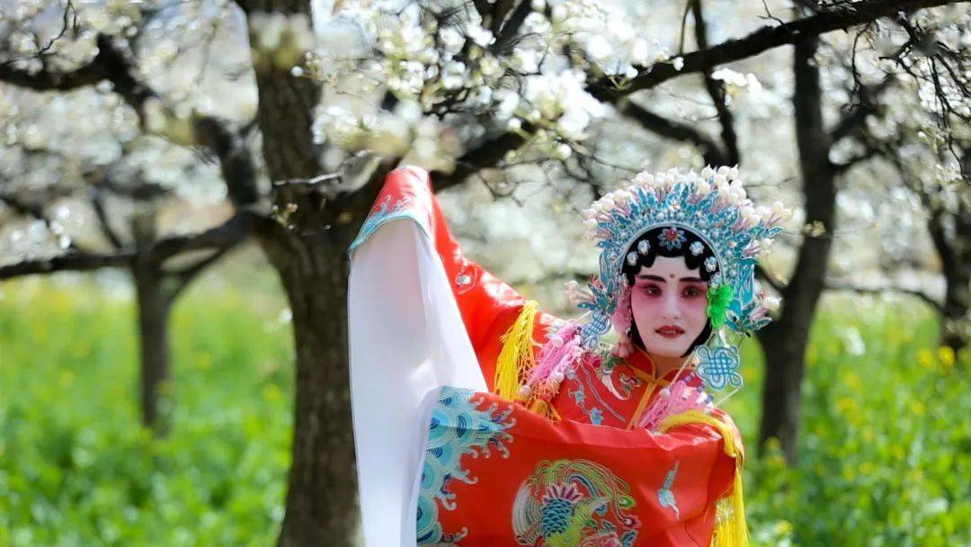 "大唐贵妃"穿越三十铺梨园,翩翩演绎《梨花颂》!_临洮