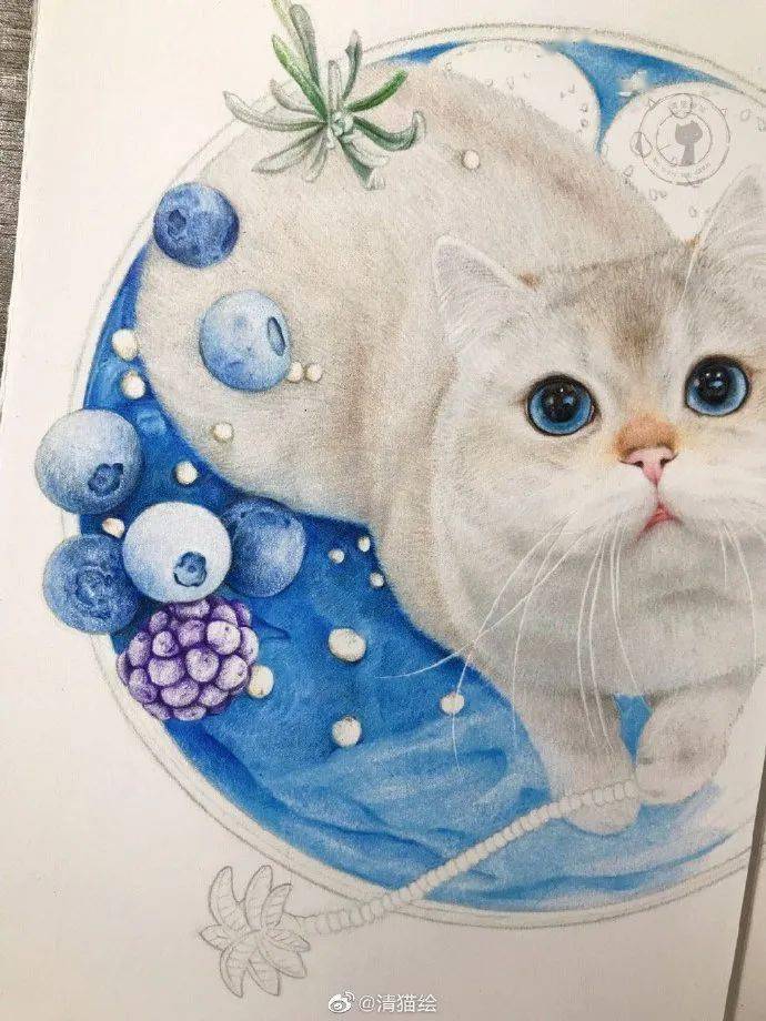 彩铅手绘入门小猫咪彩铅手绘全过程可爱小猫全身彩铅画