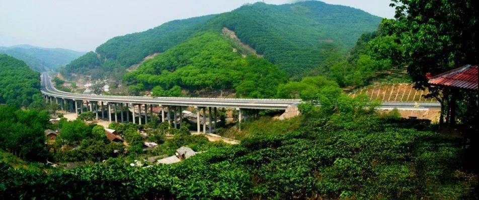 沿着高速看中国｜这条AA级景区高速，带你穿过热带雨林看野象！