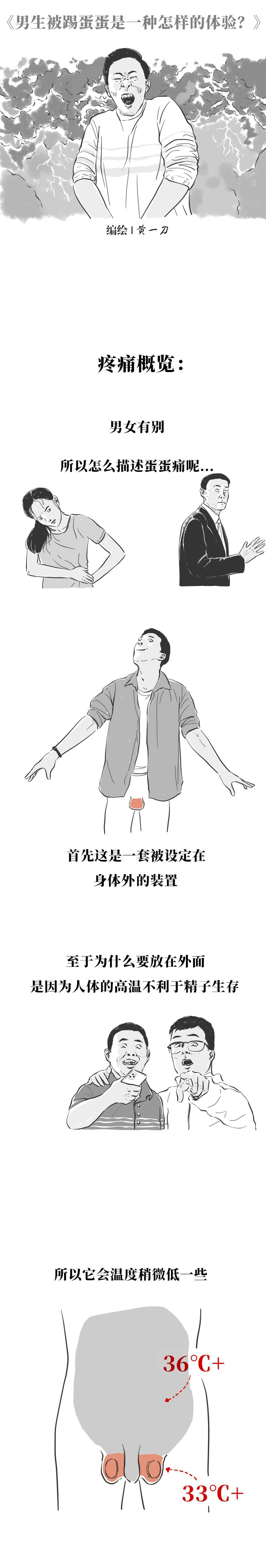 漫畫男生被踢蛋蛋是一種怎樣的體驗