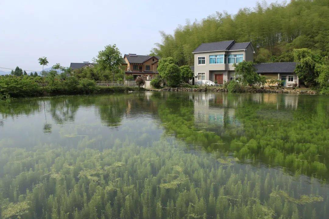 杭州余杭径山镇绿景村图片