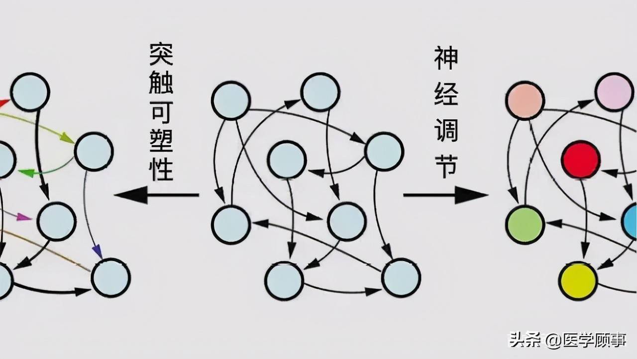 人工智能 电影 分类_人工智能机器人的分类_人工智能技术模式识别智能代理机器学习