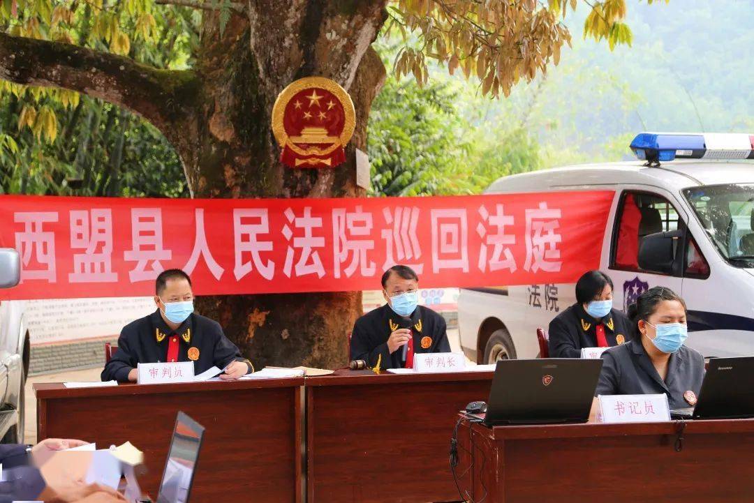 芒果树下的巡回法庭:阳光普法"零距离"