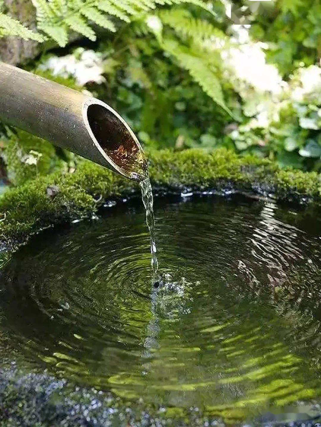 康紅舒靜水流深緩育人