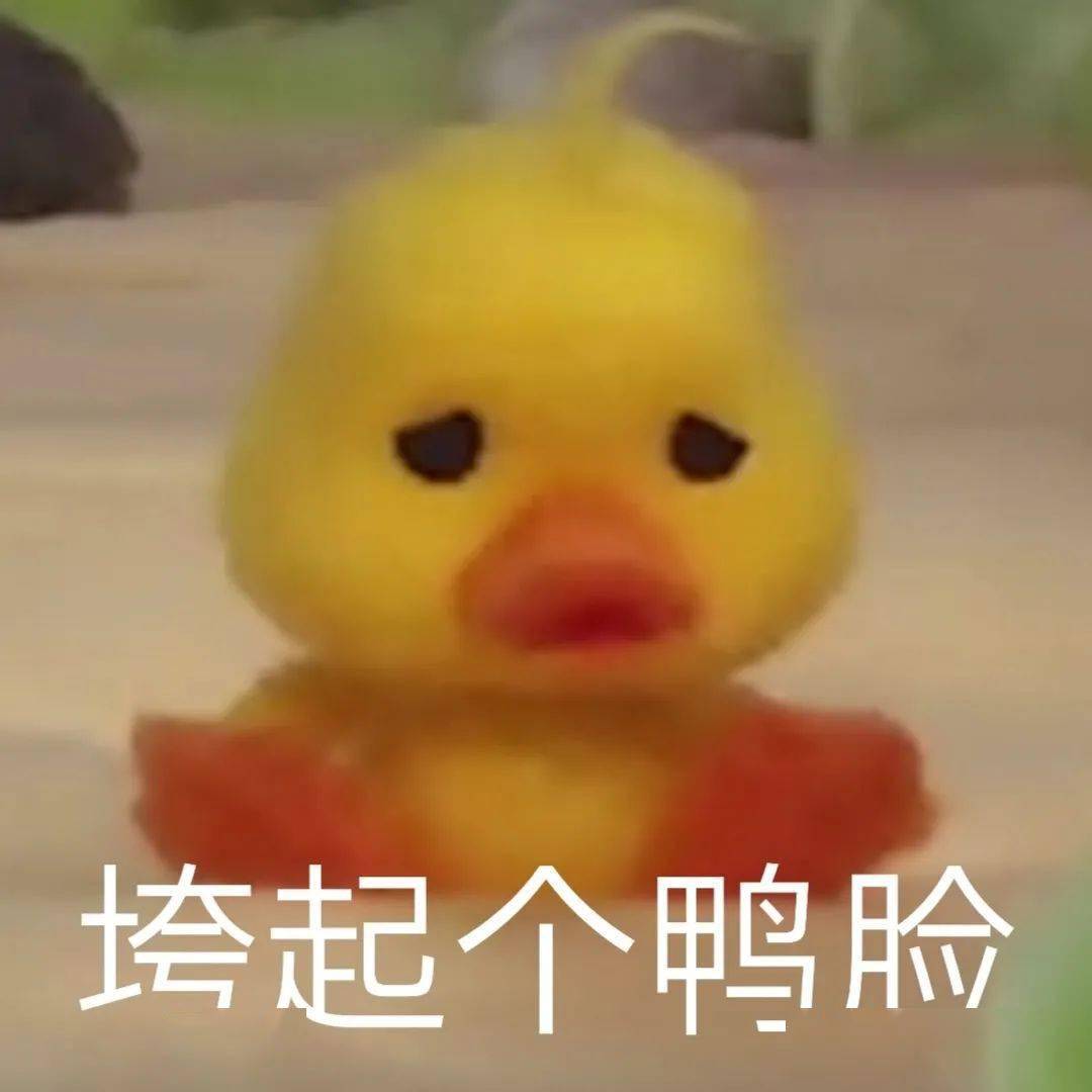 5c4357817d984d469b63a393fd025afa.jpeg