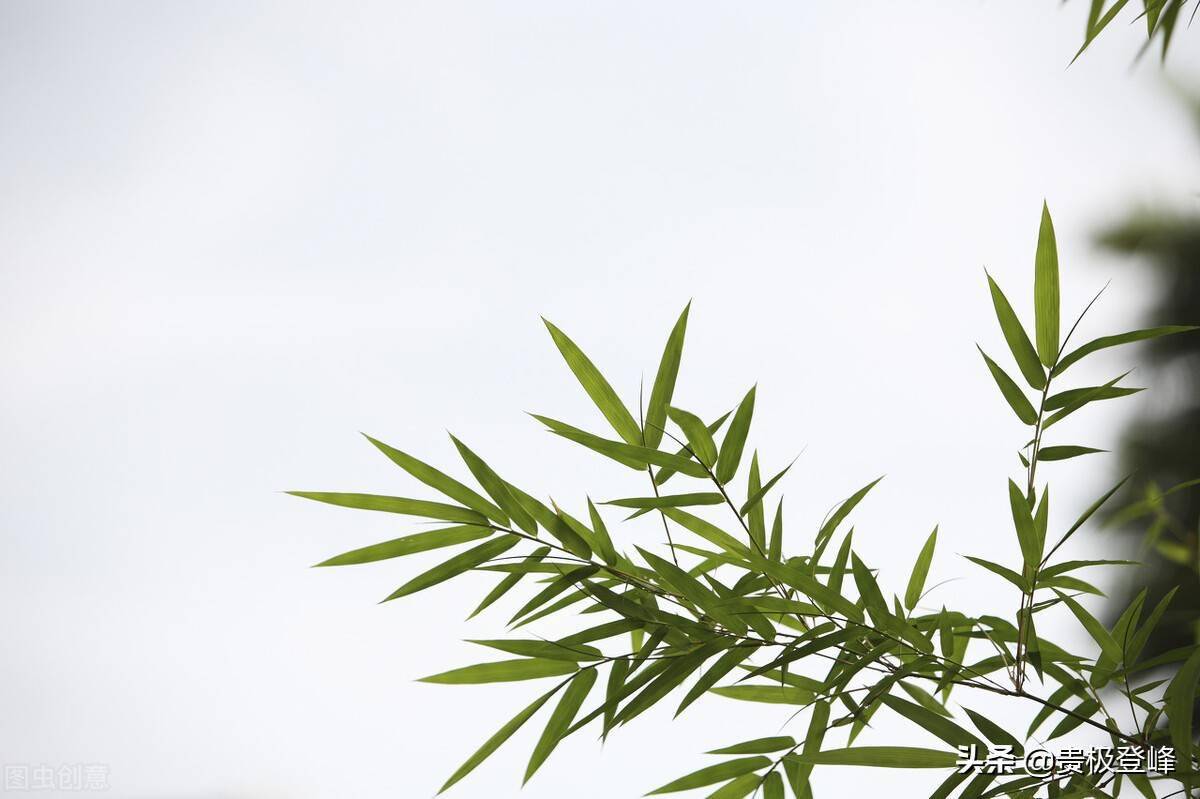 犹有桃花流水上无辞竹叶醉尊前