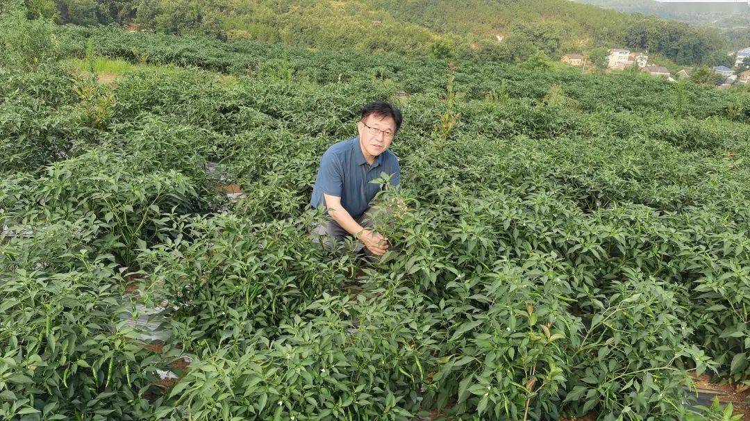 扶贫那些事丨用心成就乡亲致富梦