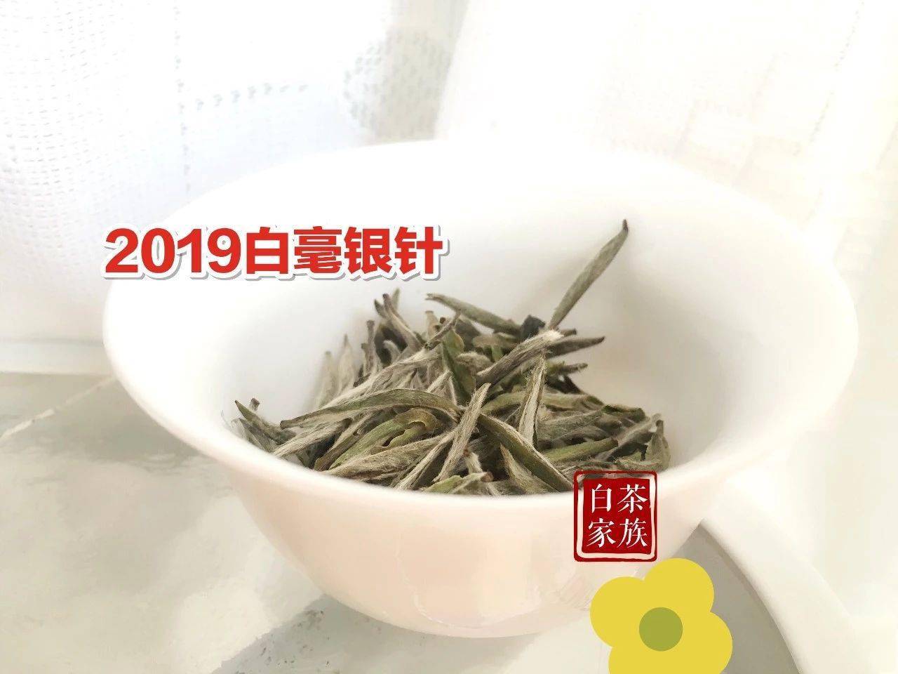 白茶怎样喝(为什么不建议喝白茶)