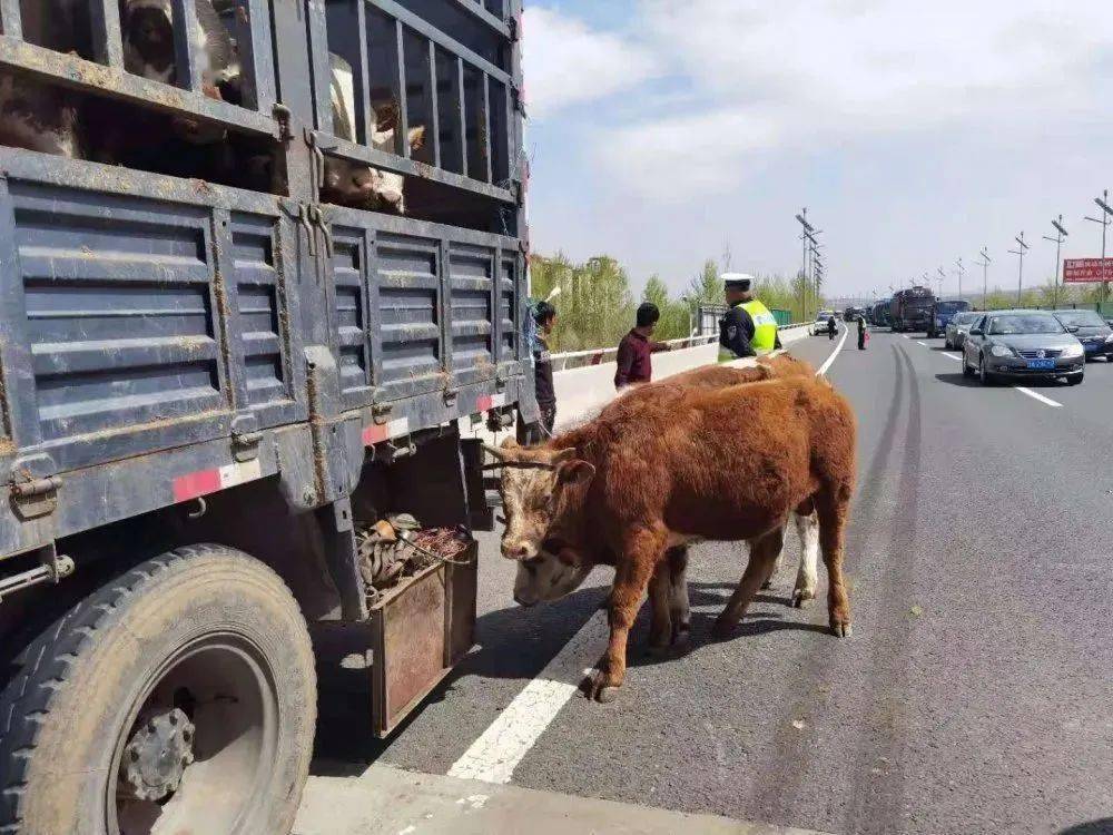 我为群众办实事系列报道件件是实事事事都办实二
